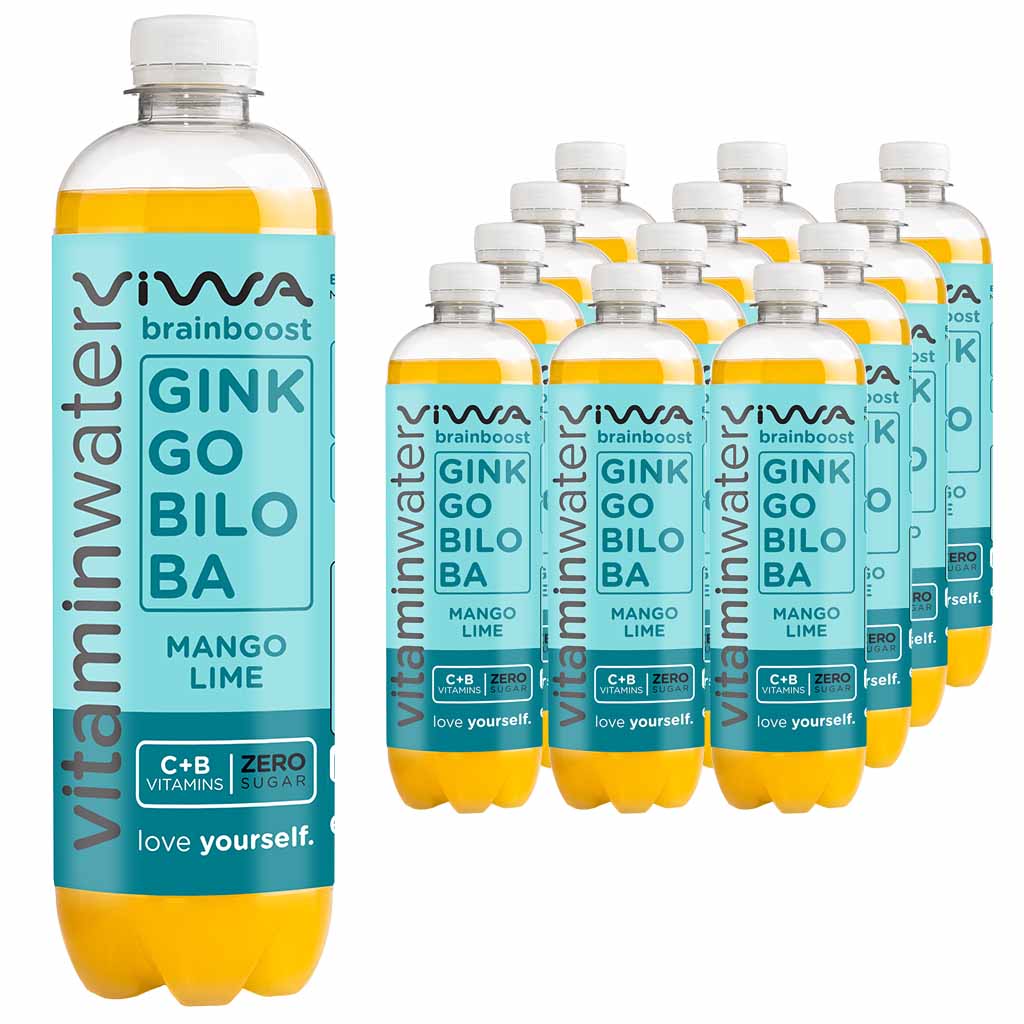 VIWA BrainBoost Ginkgo Biloba 12x600ml PET Flasche = 7,2L, 5999885917907, 15999885917904