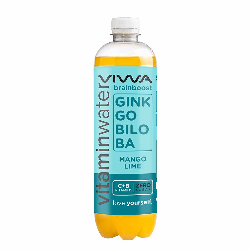 VIWA BrainBoost Ginkgo Biloba 600ml PET Flasche, 5999885917907